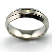 Titanium Wide Edge Matte Ring